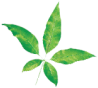 Natural ingredients product
