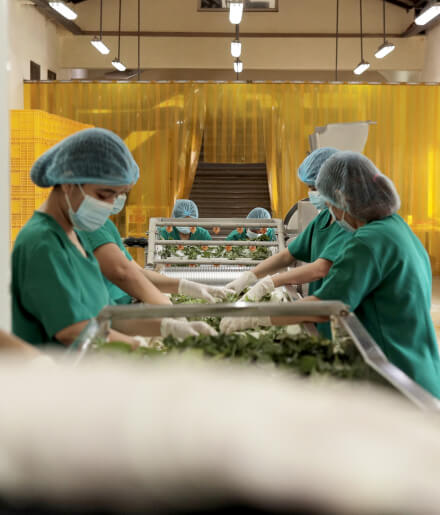 Leonie Agri Corp's product, Natural Ingredients.